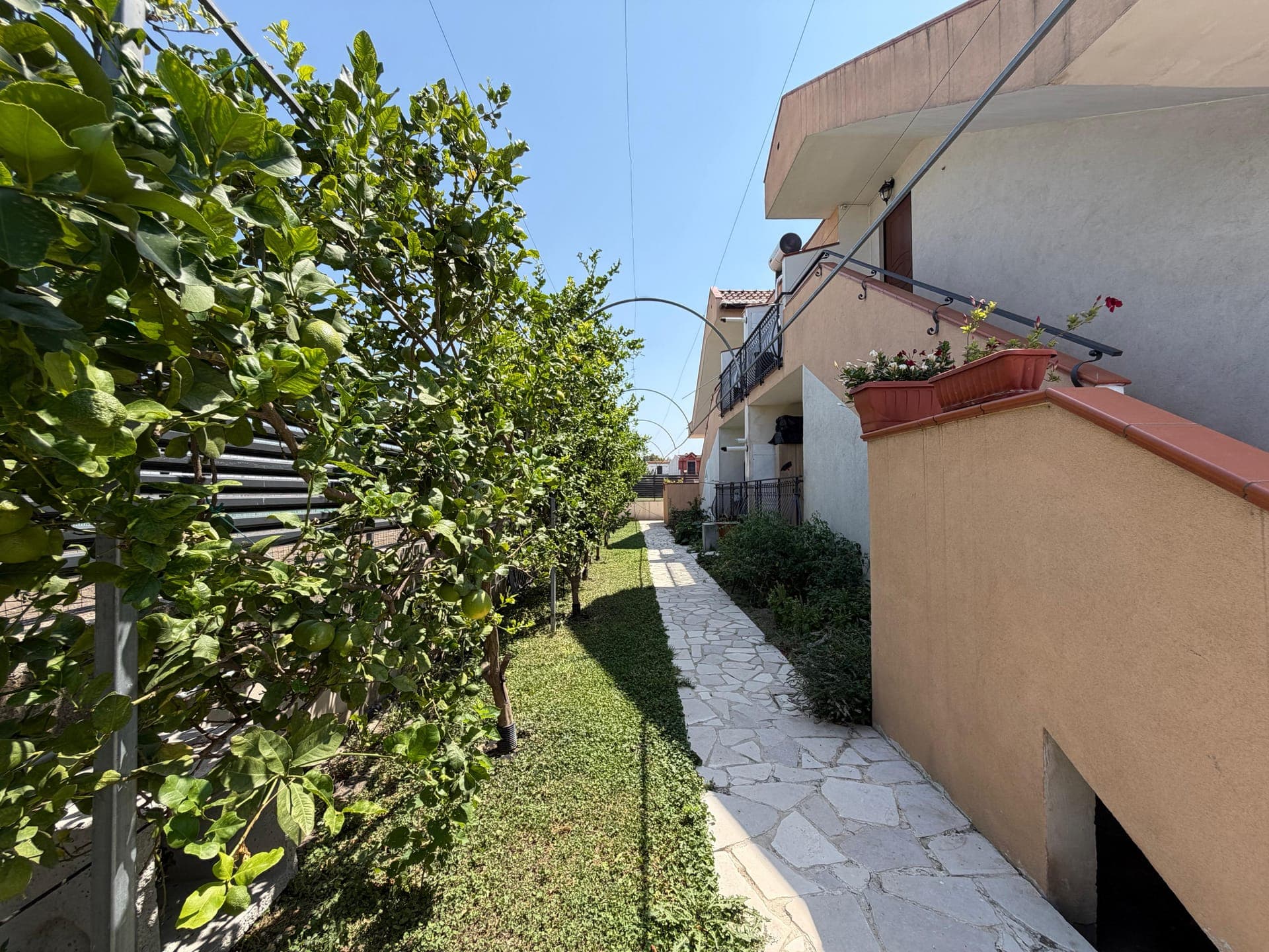 Il vialetto in pietra tra gli agrumi, lungo il fianco della villa